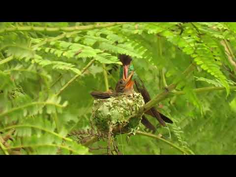 Momentos únicos Jardín Botánico Y Mariposario del Quindío