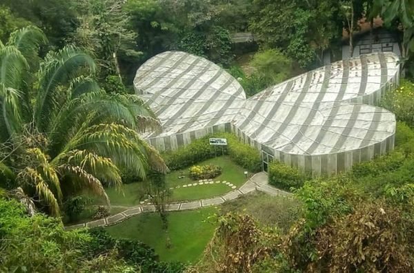 tour jardin botanico y mariposario