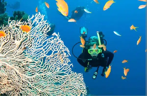 Buceo Taganga: la mejor forma de disfrutar del mar Caribe - Imagen 2