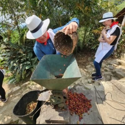 Tour del café en Medellín