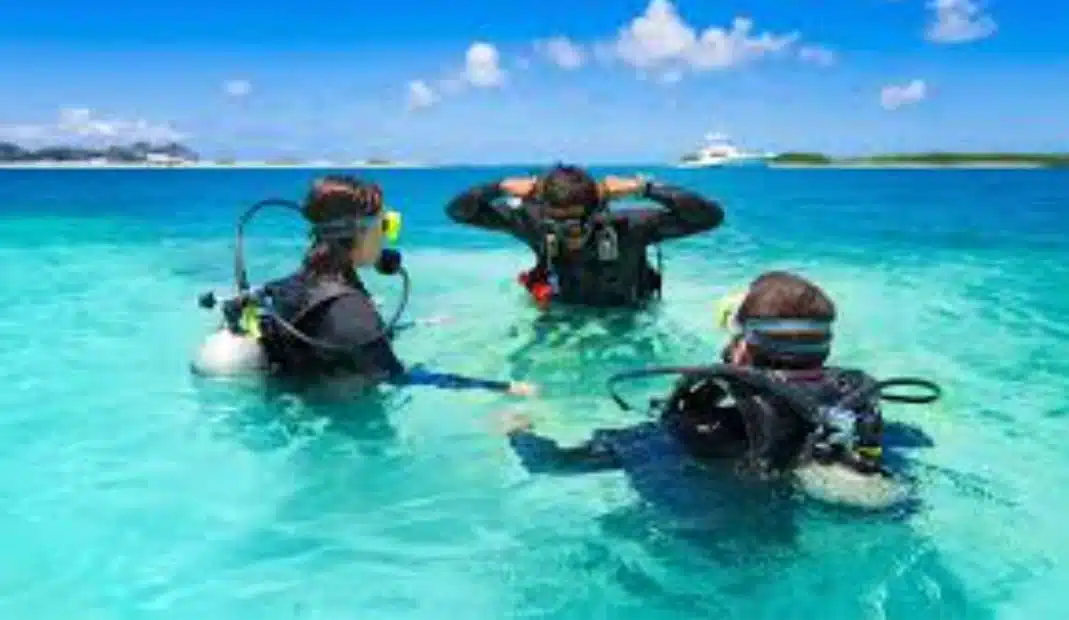 Diving Cartagena: la aventura submarina
