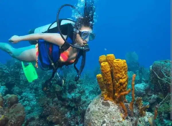 Diving Cartagena: la aventura submarina