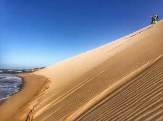 Tour Punta gallinas