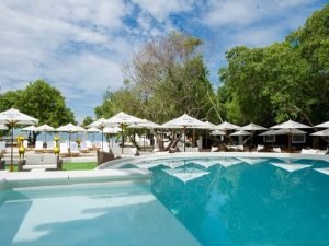 Una piscina con sombrillas y árboles al fondo