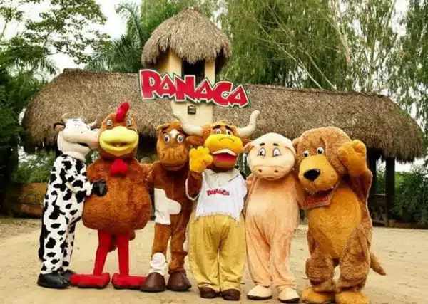 Pasadía a Panaca