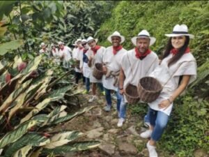 Tour del café en Medellín
