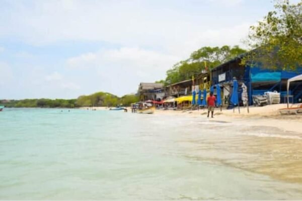 tour terrestre en van a playa blanca baru