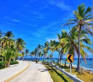 Carretera costera con palmeras de la parte 